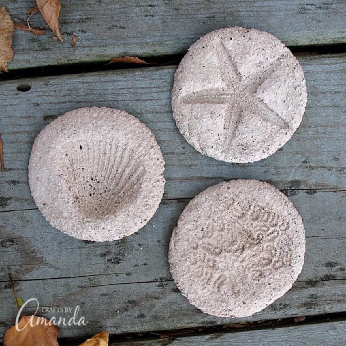 Coffee Grounds Fossils from Crafts by Amanda