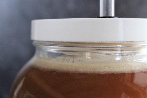 Apple cider vinegar after 24 hours of alcoholic fermentation