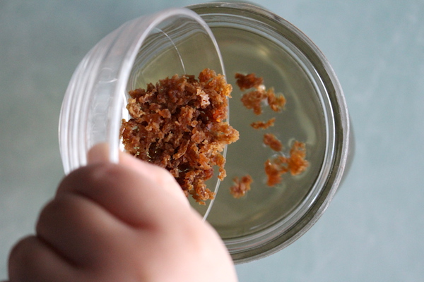 Adding Water Kefir Grains