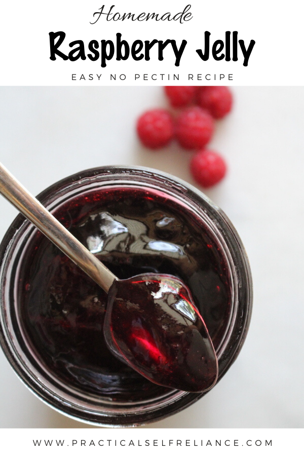Homemade Raspberry Jelly