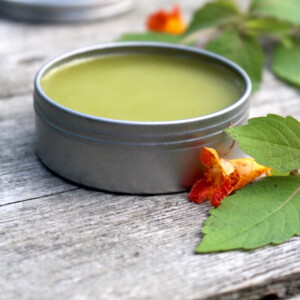 Jewelweed salve is another one that's made with fresh (rather than dried) herbs. Jewelweed is a herbal treatment for bug bites and poison ivy.