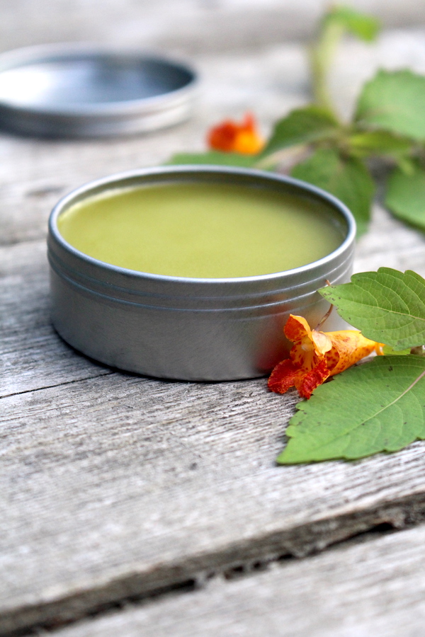 Jewelweed salve is another one that's made with fresh (rather than dried) herbs. Jewelweed is a herbal treatment for bug bites and poison ivy.