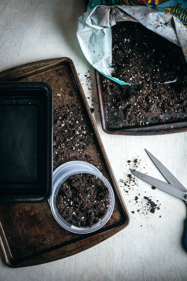 Microgreen Growing Medium