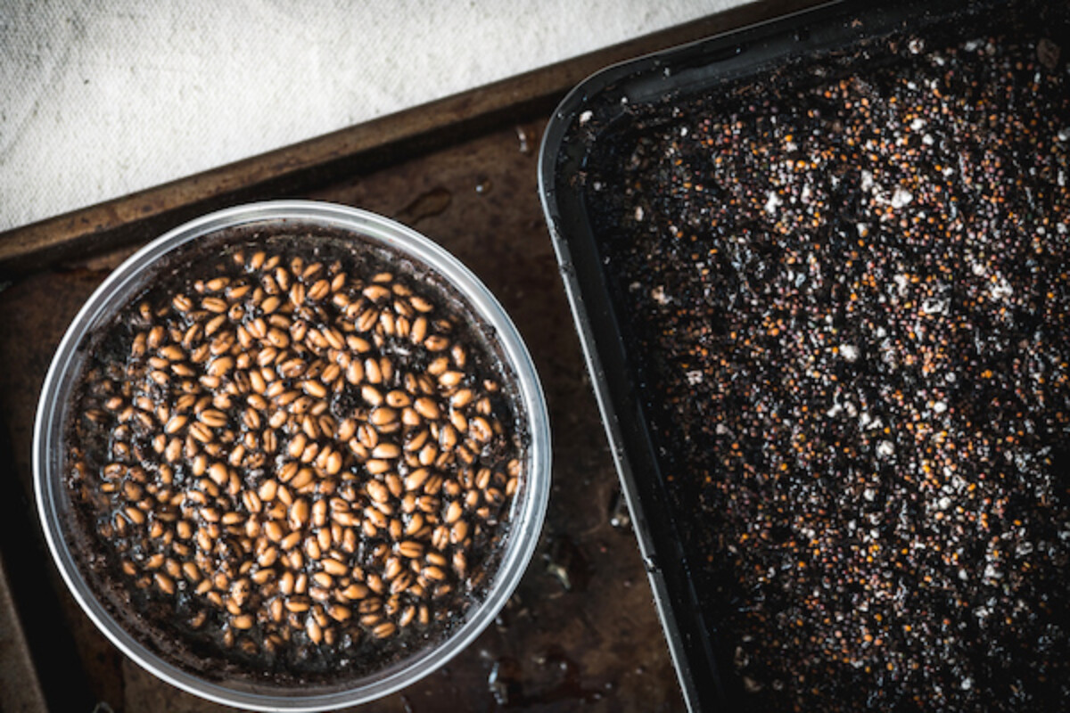 Planting Microgreen Seeds