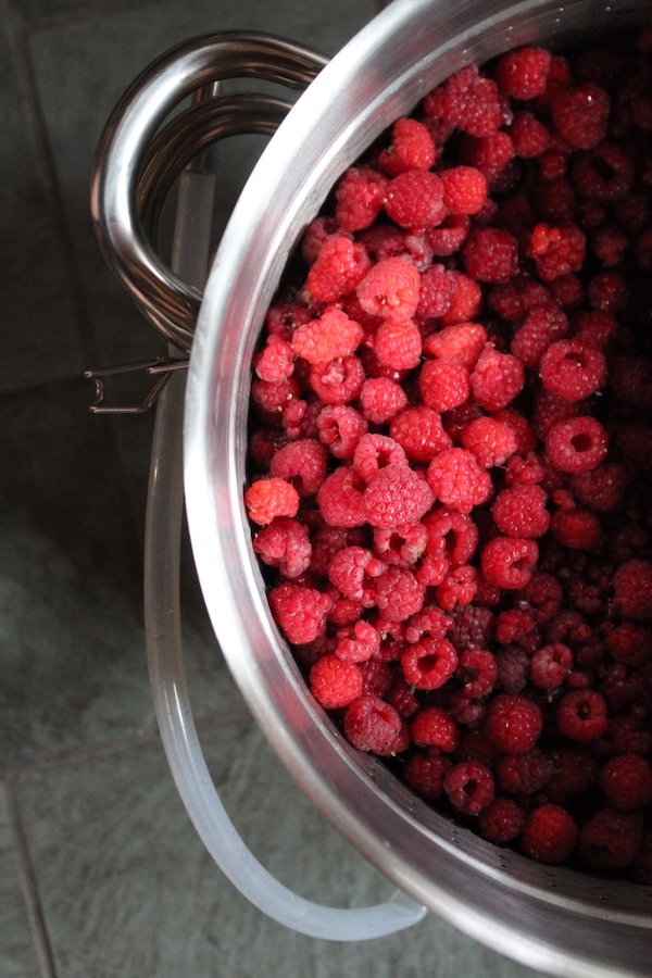 Raspberries in Steam Juicer