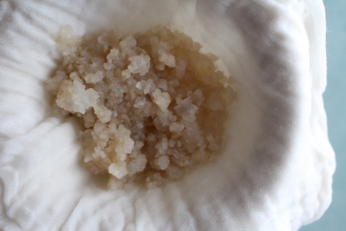 Strained Water Kefir Grains