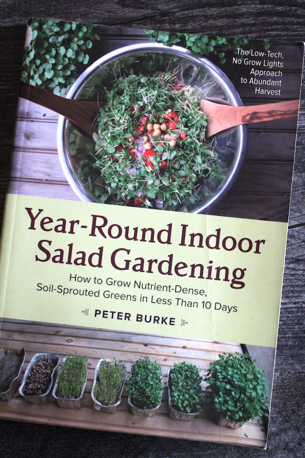 Year Round Indoor Salad Gardening Book