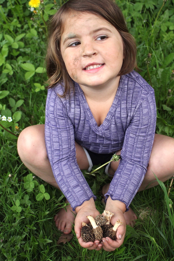 My four year old daughter holding morels. From the mud on her face, and dandelion in the background you can tell it's a typical spring here in Vermont.