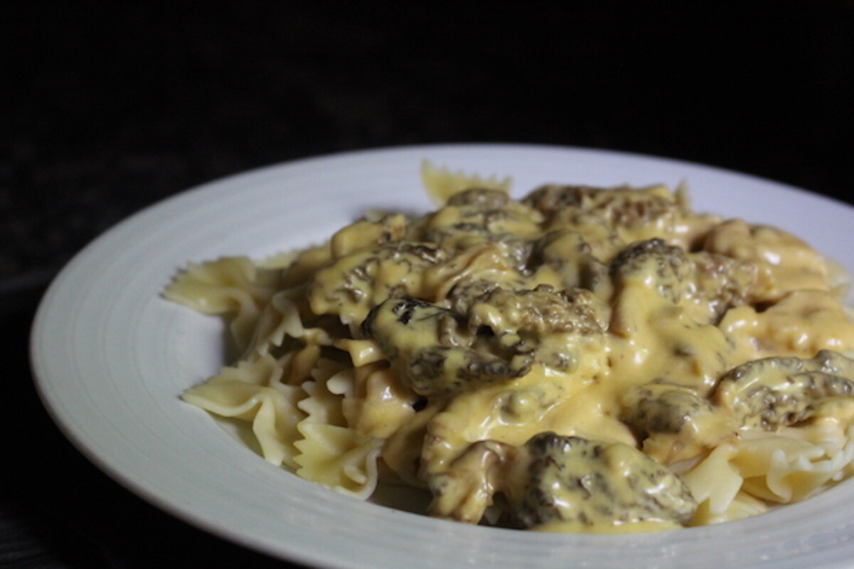 Our own morel cream sauce served over pasta.