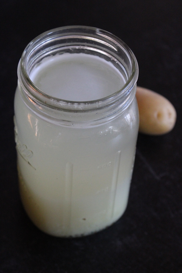 Potato Yeast Starter after 24 hours