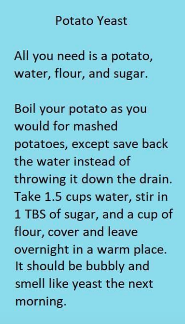 Potato Yeast Starter