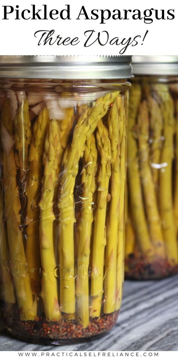 Pickled Asparagus Recipes ~ Homemade asparagus pickles are a real treat, and the perfect way to preserve asparagus for later use.