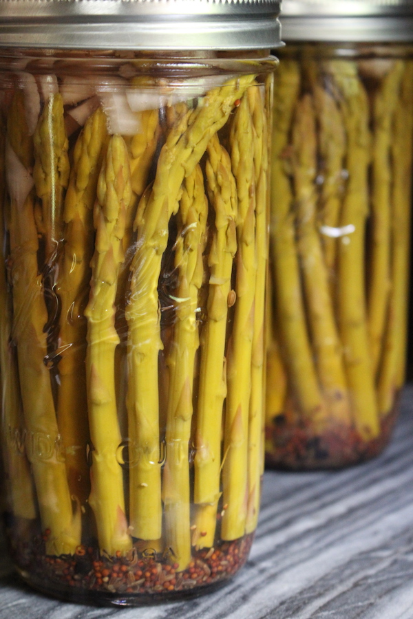Homemade Pickled Asparagus in Tall Pint and a half Canning Jars