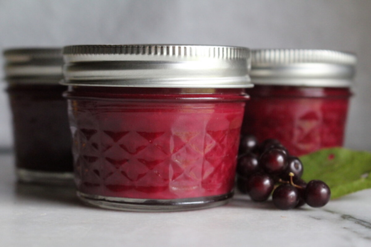 Homemade chokecherry jam in quarter pint jars