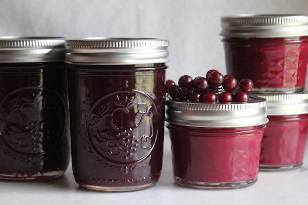 minnesota chokecherry jam