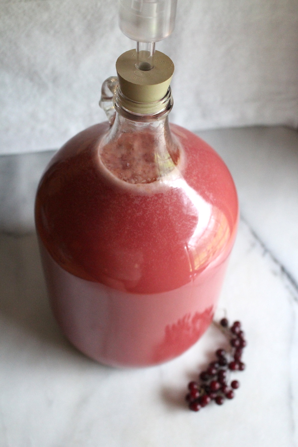 chokecherry wine