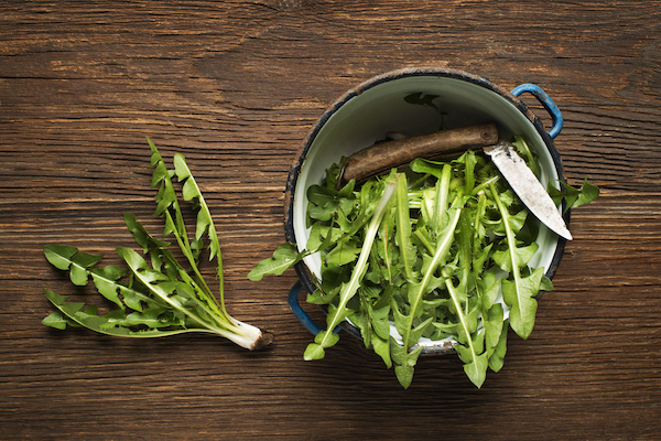 Dandelion Greens Salad