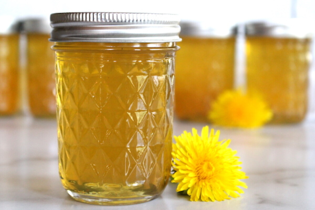 Homemade dandelion jelly