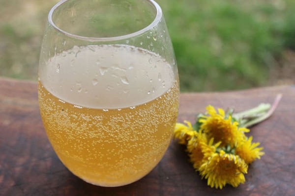 Dandelion soda (Image Courtesy of Homestead-Honey)