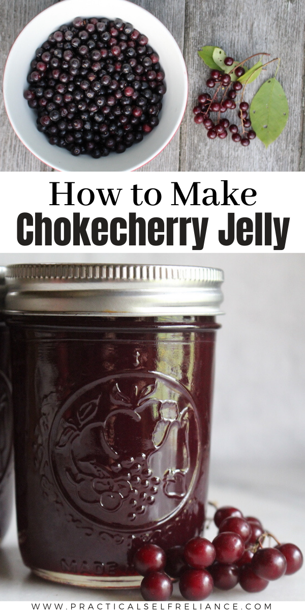 Chokecherry Jelly ~ Learn how to make your own jelly from wild foraged fruit with this easy chokecherry jelly recipe. All you really need is fresh ripe chokecherries and sugar, it's that simple. If you need a way to use chokecherries, be sure to try this easy chokecherry recipe.