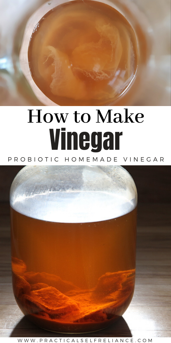 How to Make Vinegar ~ Learn how to make your own fruit vinegar from homegrown or store bought fruit for a tasty probiotic vinegar right in your own kitchen. 