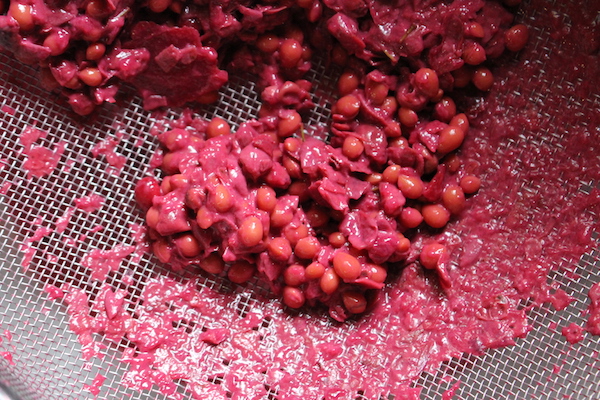 Removing chokecherry pits for chokecherry jam.