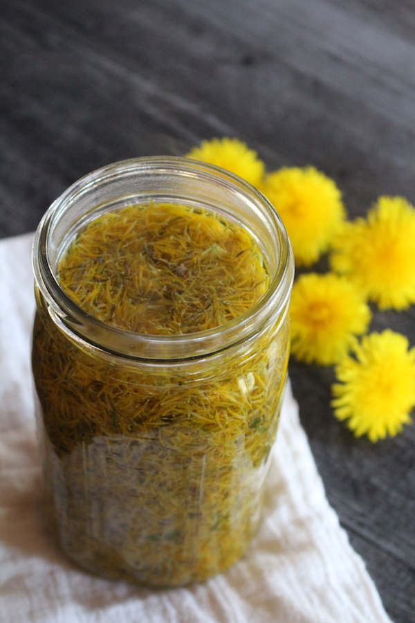 Making dandelion tea in a quart mason jar, a good way to measure 4 cups of petals and dandelion tea for making dandelion jelly