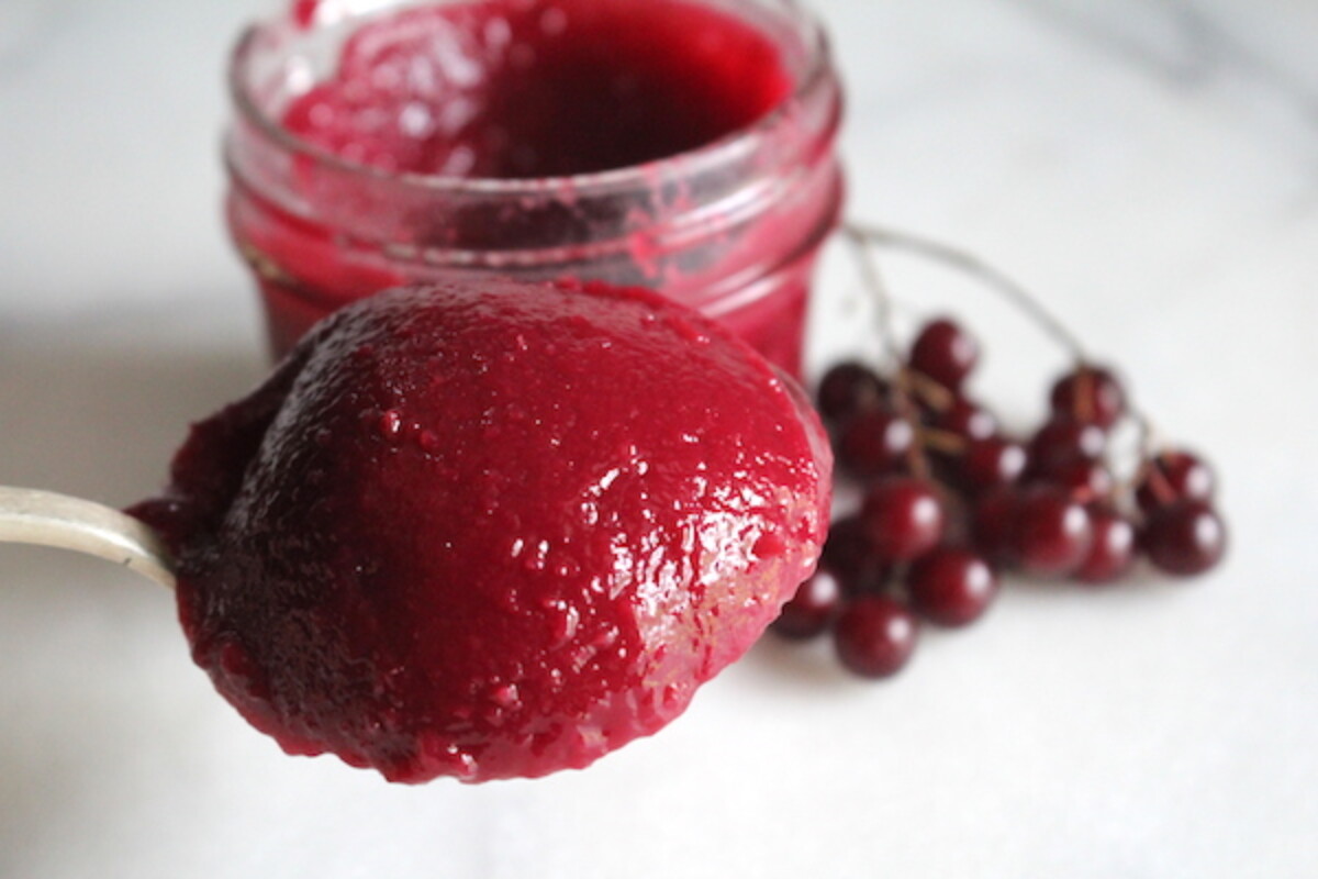 Scoop of Chokecherry Jam with a thick, jello like texture