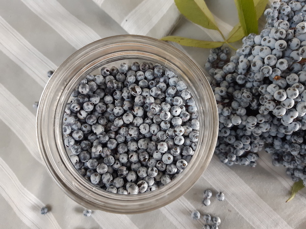 Blue elderberries in a jar for water infusion
