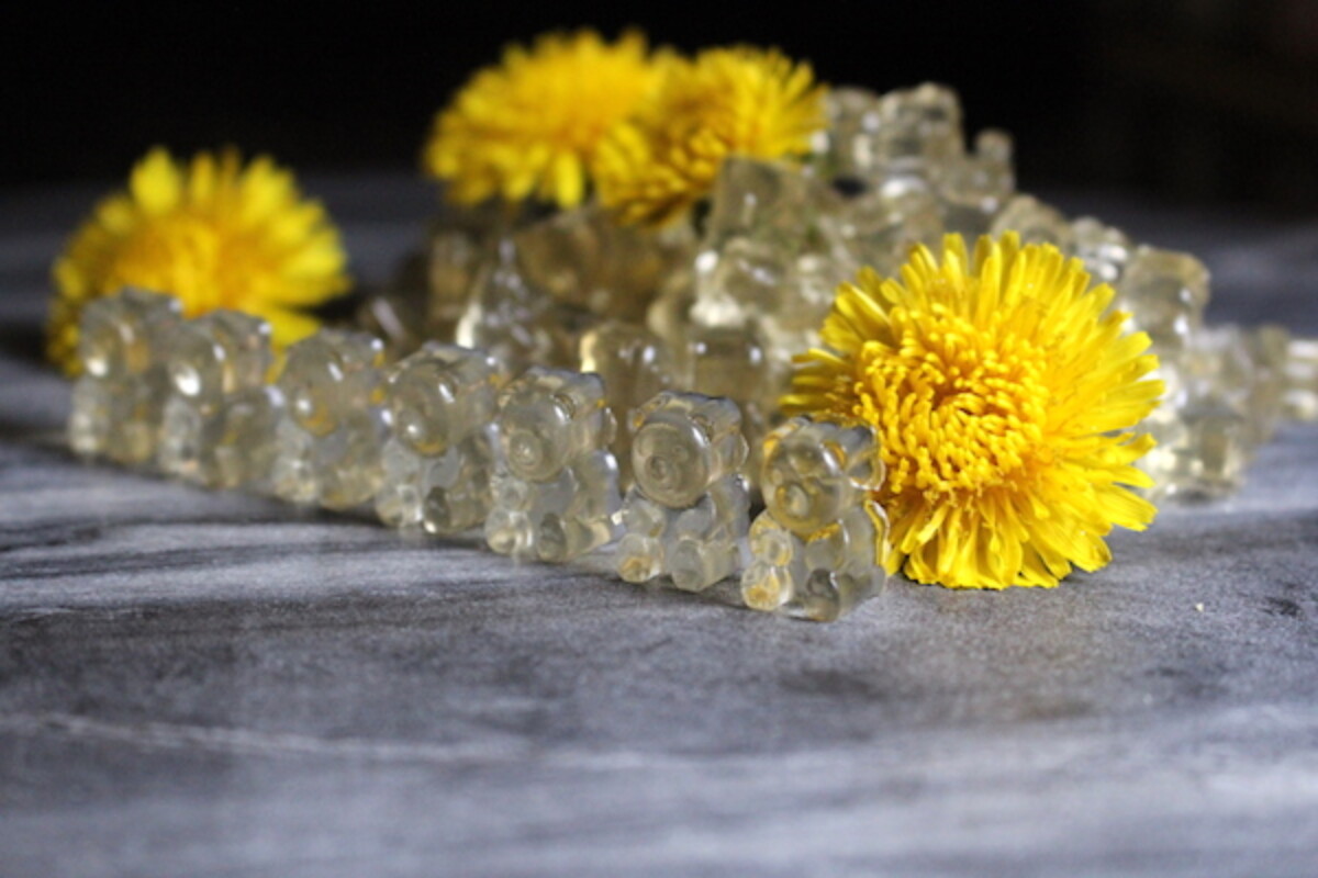 Homemade dandelion and honey gummy bears