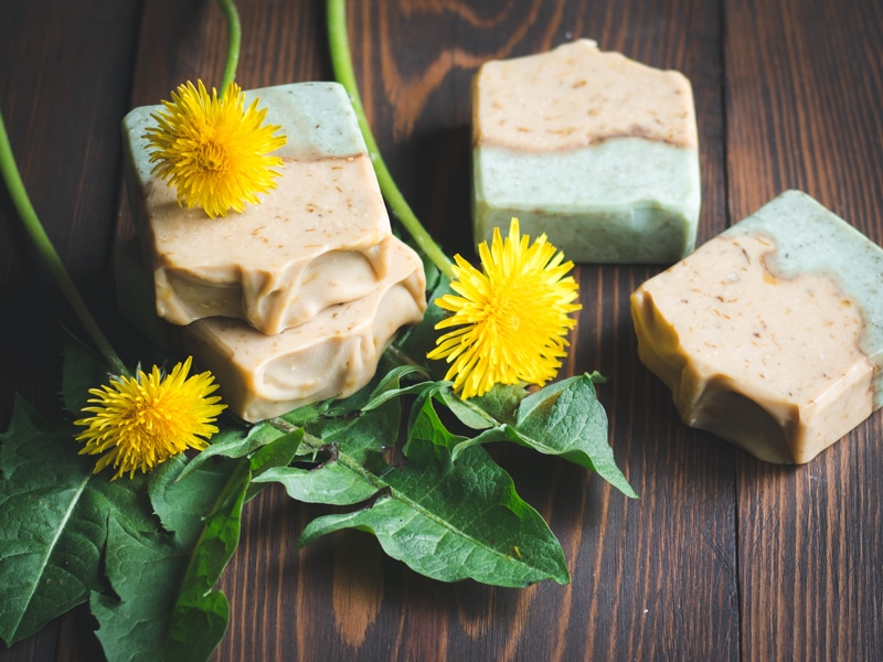 Dandelion soap made with the whole plant (Image Courtesy of Grow Forage Cook Ferment)