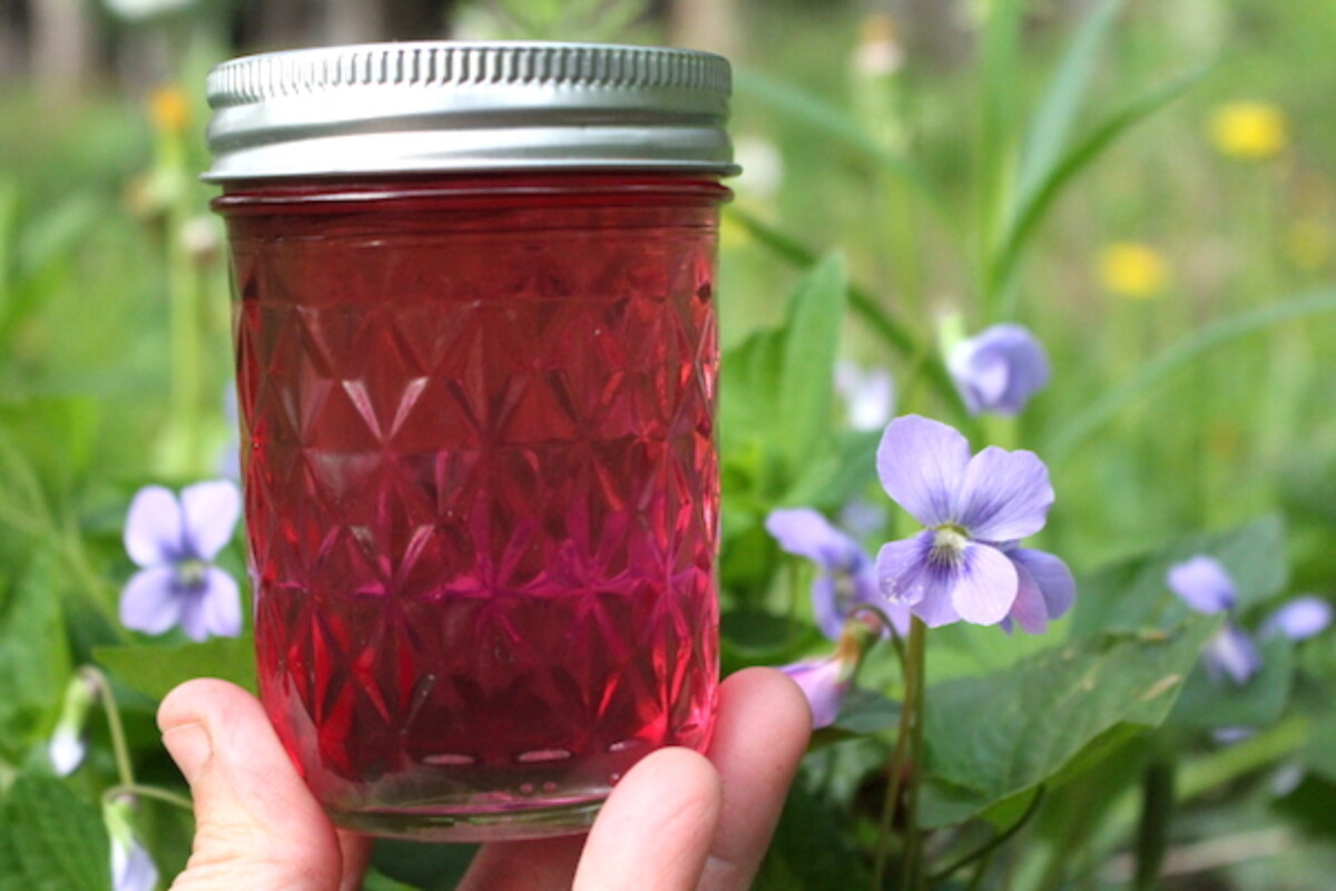 Violet Jelly with Wild Violets
