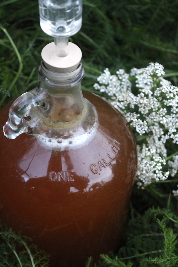 Our own homemade yarrow beer