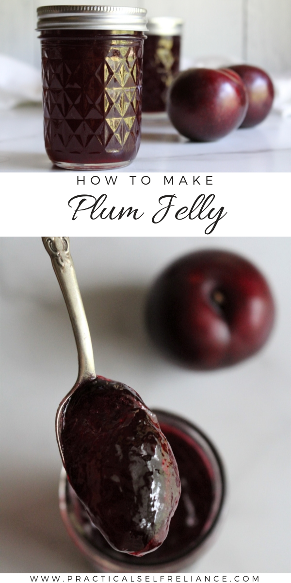 How to Make Plum Jelly ~ Learn how to make homemade plum jelly with just two ingredients, no pectin added!