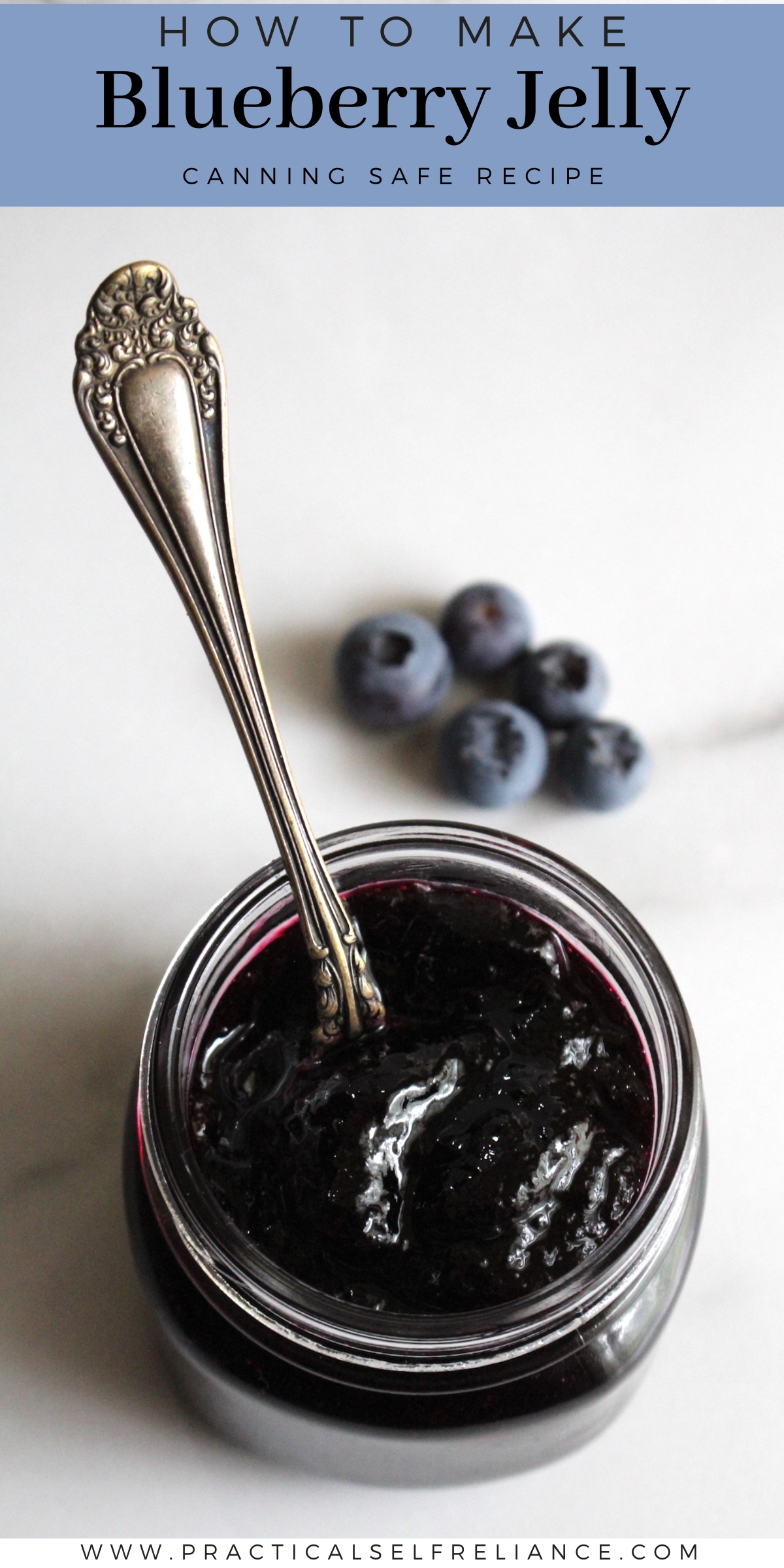 Blueberry jelly canning recipe pin image