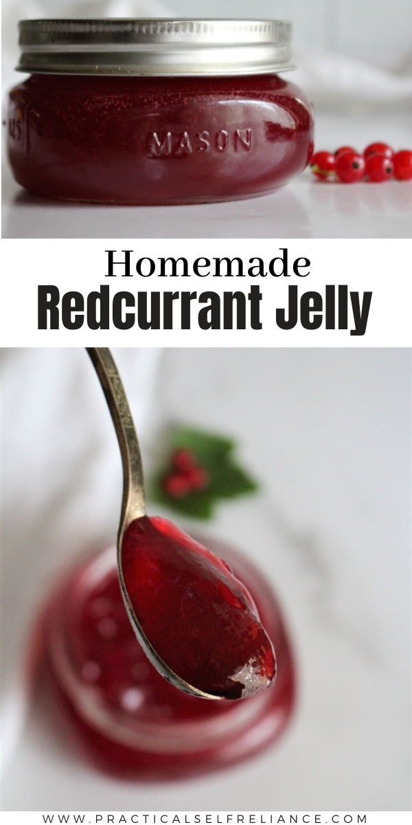 Homemade redcurrant jelly ~ This easy summer preserve comes together with just redcurrants and sugar. If you're looking for an easy redcurrant recipe, this is it!