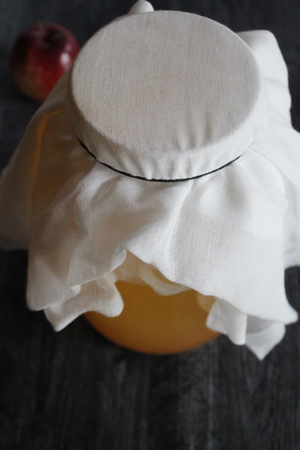 Starting a batch of cider vinegar