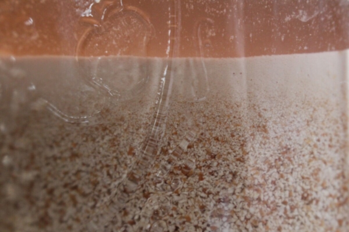 Acorn starch at Separates during decanting acorn flour