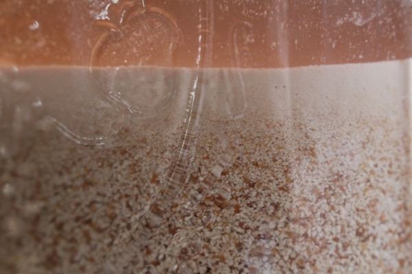 Acorn starch at Separates during decanting acorn flour