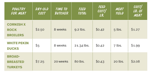 Average Cost to Feed Meat Birds to Butcher Weight 
