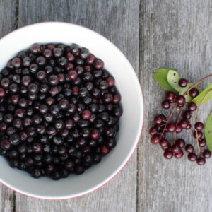 wild harvested chokecherries