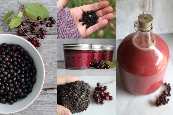 12+ Chokecherry Recipes for Your Wild Harvest