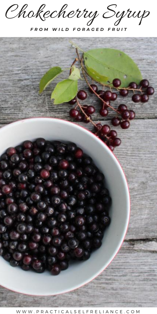 Chokecherry Syrup ~ Learn how to make a tasty syrup from wild foraged chokecherries.