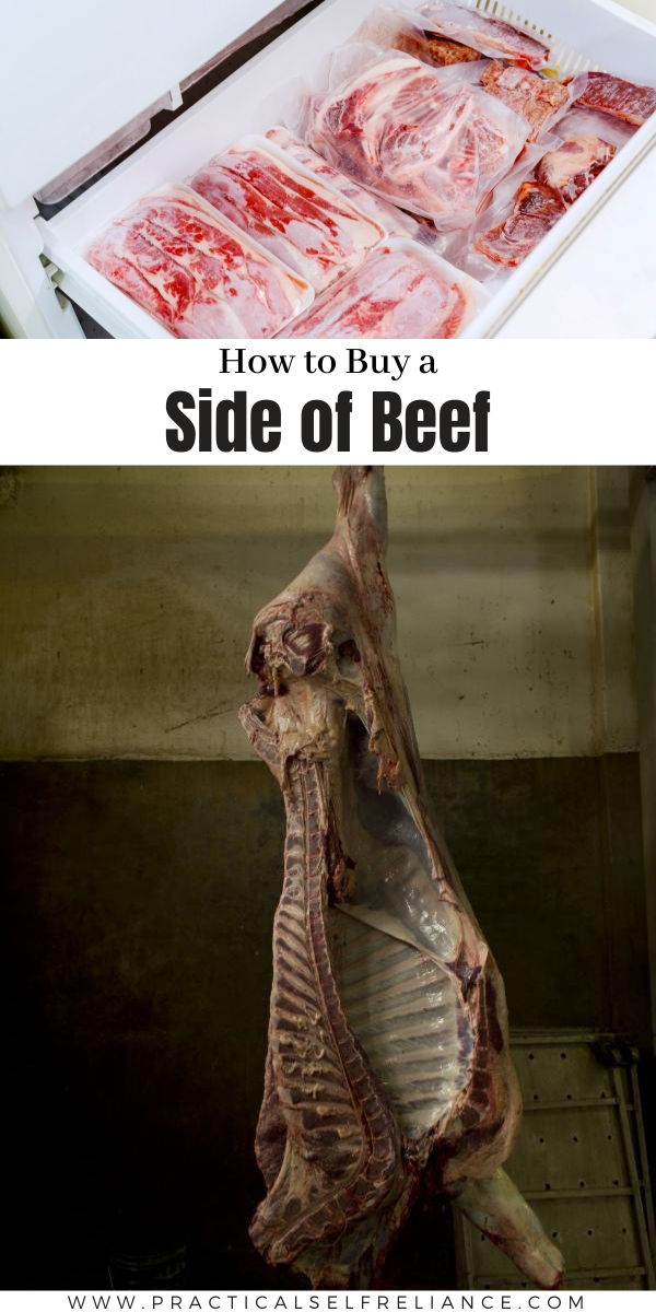 How to Buy a Side of Beef ~ Everything you need to know to fill your freezer with high quality local meat for less money.