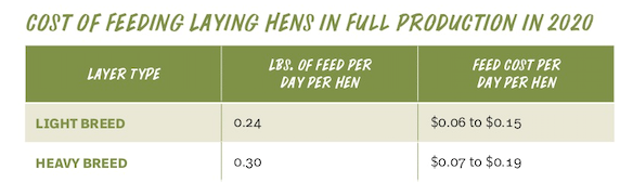 Cost of Feeding Laying Hens