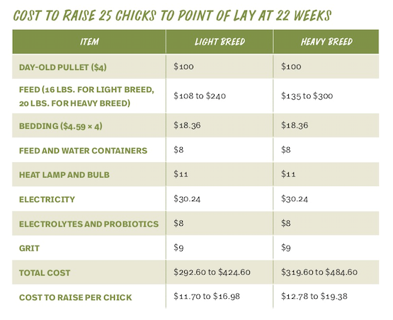Cost to Raise 25 Chicks to Point of Lay at 22 Weeks 