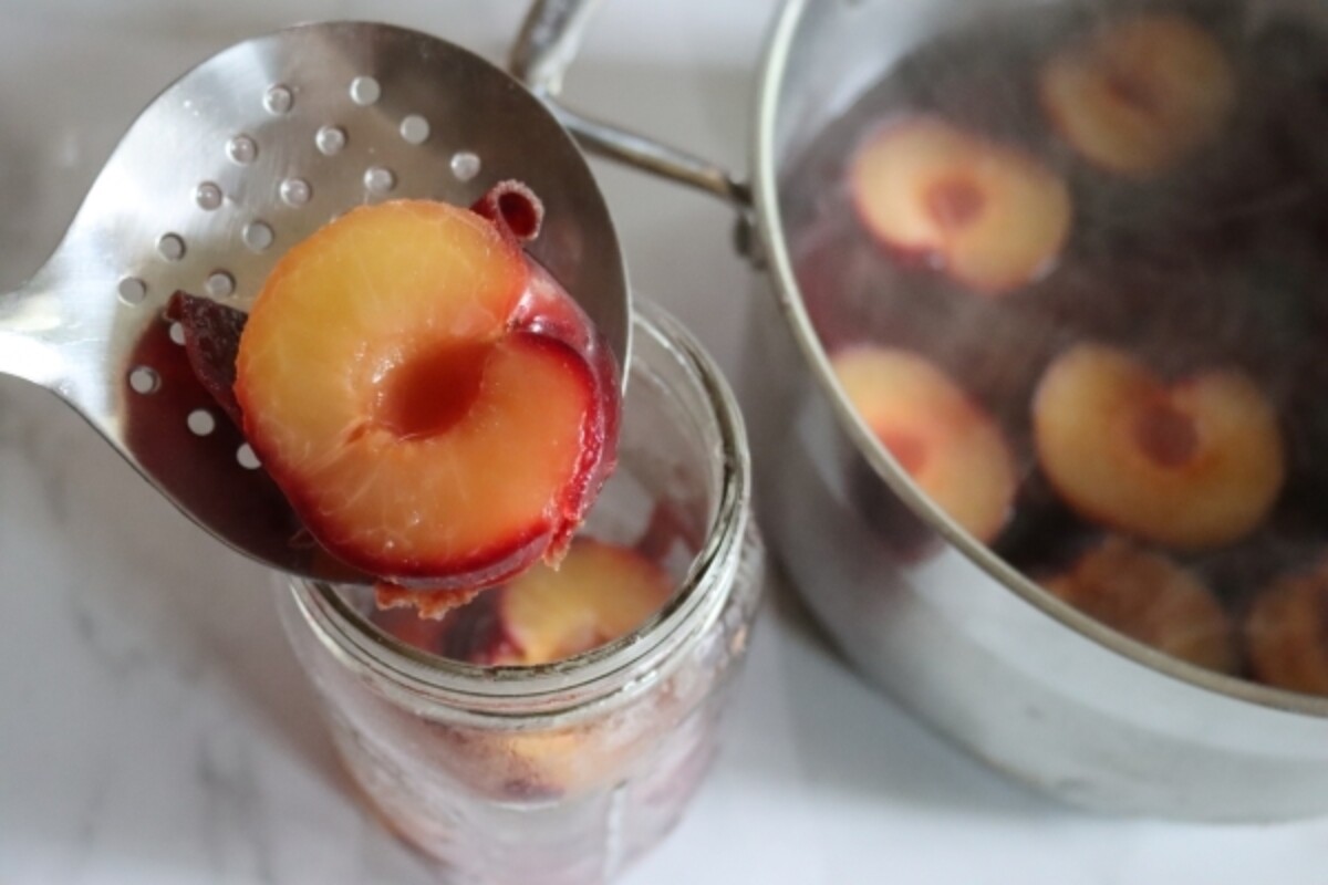 Hot Pack Canning Plums