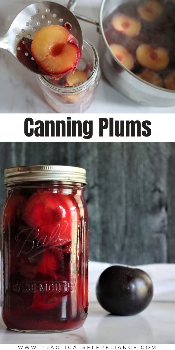 How to Can Plums ~ Canning plums is a simple way to preserve plums at home with just a water bath canner. Can plums in syrup, water or juice.