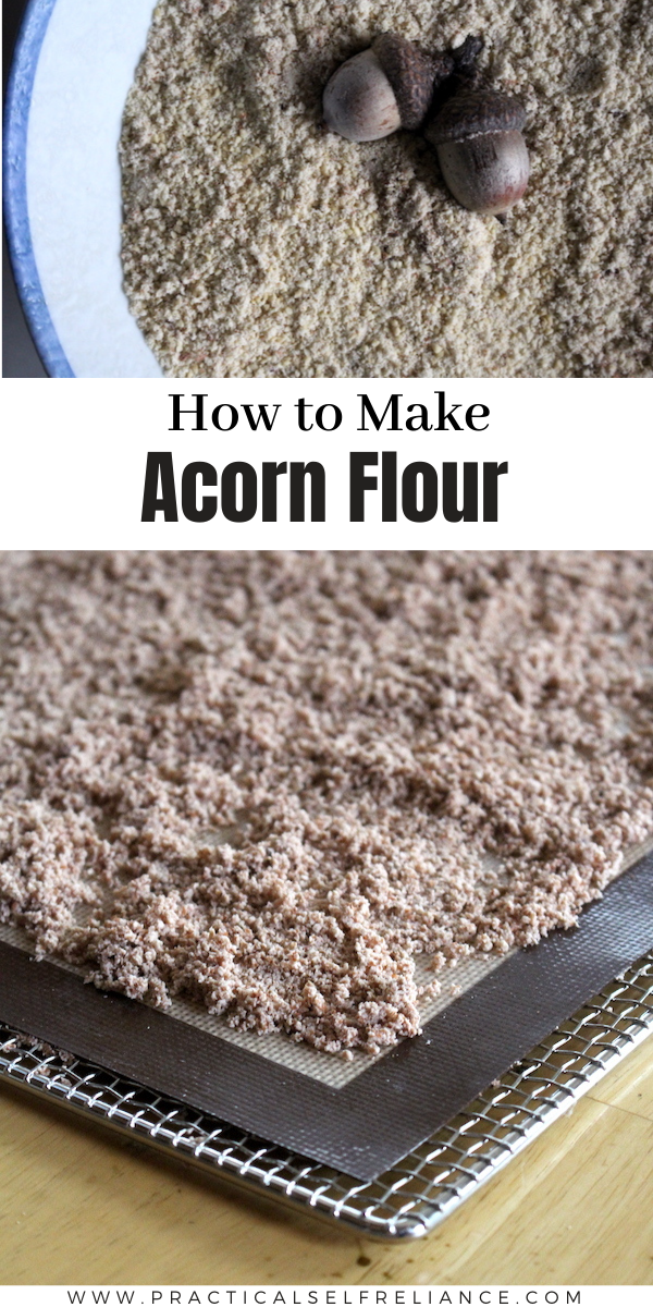 How to Make Acorn Flour ~ Learn how to make flour from acorns by leaching and grinding this abundant wild nut
