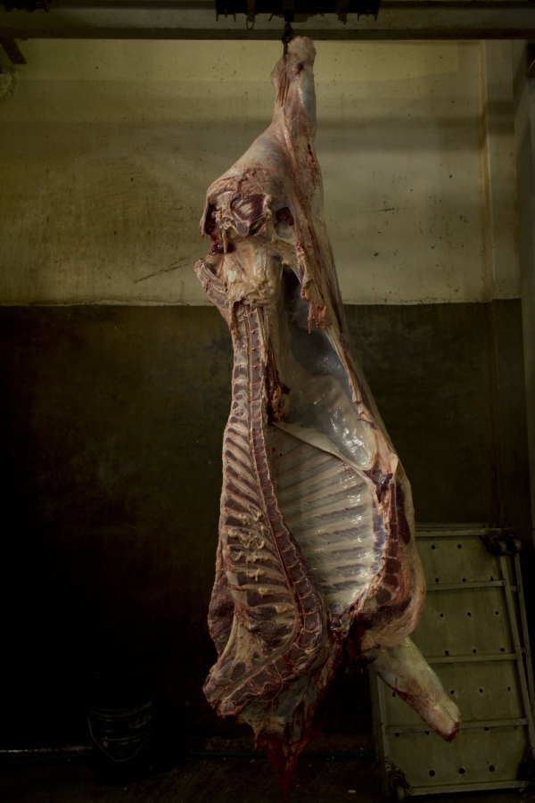 Side of Beef